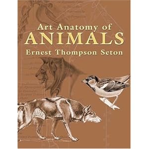 【クリックでお店のこの商品のページへ】Art Anatomy of Animals (Dover Anatomy for Artists) [ペーパーバック]