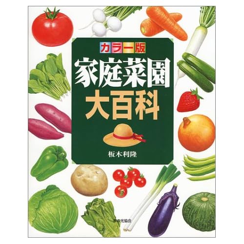 ���顼�� �����ڱ���ɴ�� (�緿��)