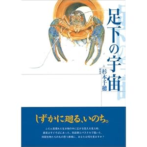 �����̉F��