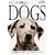 �t�H�[�O�����m��DOGS
