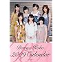 Berryz�H�[ 2009�N�J�����_�[