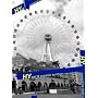 WATTA SHINKER 06 TOUR-MU-RUIINCHU- [DVD]