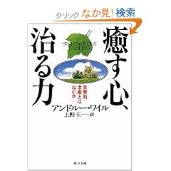 �����S�A����́\�����I�����Ƃ͂Ȃɂ� (�p�앶�Ƀ\�t�B�A)