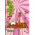 �h�L�΂�5 1st�V�[�Y���I���� (BEAM COMIX)