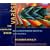 Varse: The Complete Works