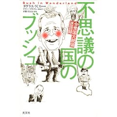 �s�v�c�̍��̃u�b�V�� ���O���哝�̖���^