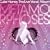 �u�L���[�e�B�[�n�j�[ THE LIVE�v�{�[�J���A���o�� METAMORPHOSES
