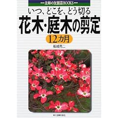 �Ԗ؁E��؂̙���12�J���\���A�ǂ����A�ǂ��؂� (��w�̗F���|BOOKS) (��w�̗F���|BOOKS)