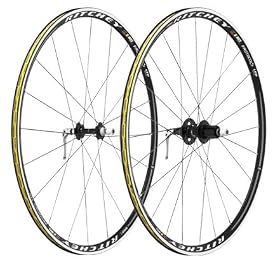 RITCHEY�i���b�`�[�jWCS Protocol LTD �O��z�C�[���Z�b�g �J���p�p