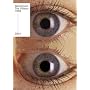 WARP VISION THE VIDEOS 1989-2004 [DVD]