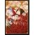 �n������ ���� ���m�� [DVD]