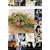 Life,/Music&Love [DVD]
