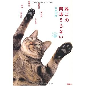 【クリックで詳細表示】ねこの肉球うらない [単行本(ソフトカバー)]