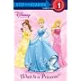 What Is a Princess? (Step into Reading)