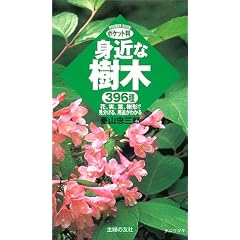 �|�P�b�g�� �g�߂Ȏ��� (POCKET BOOK)