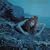 Siren