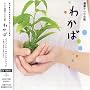NHK�A���e���r�����u�킩�΁v�I���W�i���E�T�E���h�g���b�N