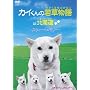 �J�C����̎ᑐ����in�k�C��~�X�E�B�[�g�������[~/�J�C����Ƃ��_�[�X [DVD]