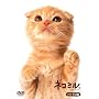 �l�R�~�� �g���E�l�R�� [DVD]