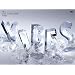 V6 LIVE TOUR 2008 VIBES�y���񐶎Y����z(�W���P�b�gA) [DVD]