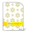 Microsoft Expression Professional Subscription