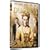 ������ݕv�l�̐��U �X�y�V�����E�R���N�^�[�Y�E�G�f�B�V����  [DVD]
