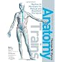 Anatomy Trains: Myofascial Meridians for Manual and Movement Therapists