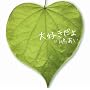 ��D������(���񐶎Y�����)(DVD�t)