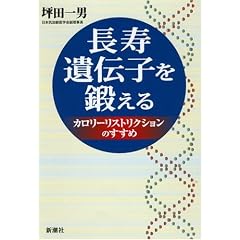 ������`�q��b����\�J�����[���X�g���N�V�����̂�����