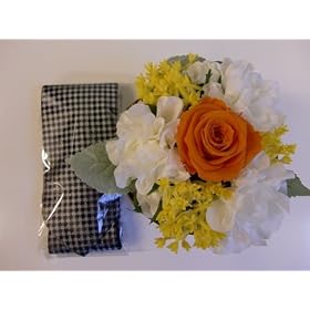 �v���U�[�u�h�t�����[�w�W���[�V�[�z���C�g�I�����W�x�������ȃl�N�^�C�t���@F-06