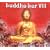 Buddha-Bar, Vol. 8