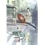 �d�]�R�C�� ��4�� ����� [DVD]