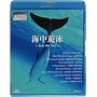 �C���V�j~In to the Sea~ V-music [Blu-ray]