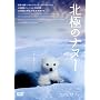 �k�ɂ̃i�k�[ �v���~�A���E�G�f�B�V���� [DVD]