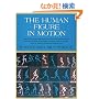 The Human Figure in Motion