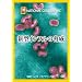 �i�V���i�� �W�I�O���t�B�b�N[DVD] �V�^�C���t���̋���