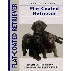 Flat-Coated Retriever (Comprehensive Owners Guide)