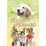�f�B���� ~�N���X�}�X�̖� [DVD]