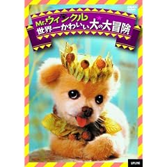Mr.�E�B���N�� ���E�ꂩ�킢�����̑�`�� [DVD]
