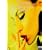 heavenly~films~ [DVD]