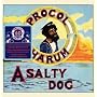 A Salty Dog