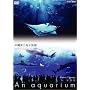 NHKDVD ������~An Aquarium~ �������C������