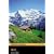 Heidi CD Pack (Book &  CD) (Penguin Readers Simplified Text)