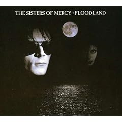 Floodland