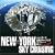 �j���[���[�N��B�N���[�W���O N.Y. SKY CRUISING DAY & NIGHT [DVD]