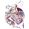 �yComics�zPandoraHearts