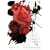 anthology 2000-2005 [DVD]