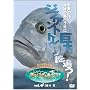 �Q�̊C�E�_��̓��p���I�ɋ���W���C�A���g�g���o���[��ǂ�![���E!�鋫�ލsvol.4] [DVD]