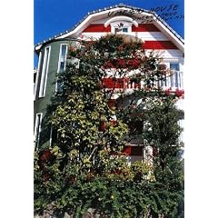 吐���Ԏʐ^�W�wUMEZZ HOUSE�x
