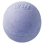 ���b�V���@���̓��ΐ�(180g)